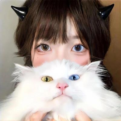 寻找完美先生